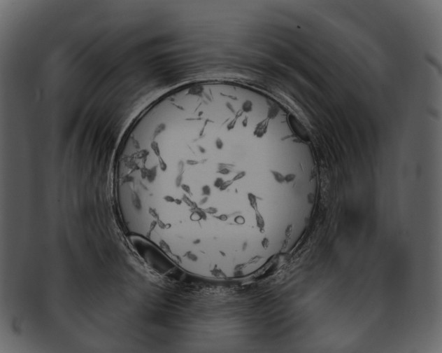 X0000092331044200710051311