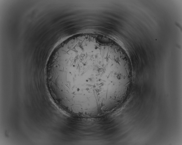 X0000092331045200710051311