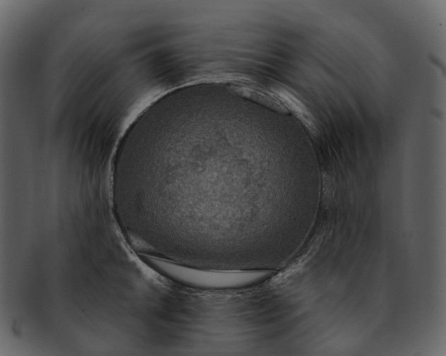 X0000092331046200710051311