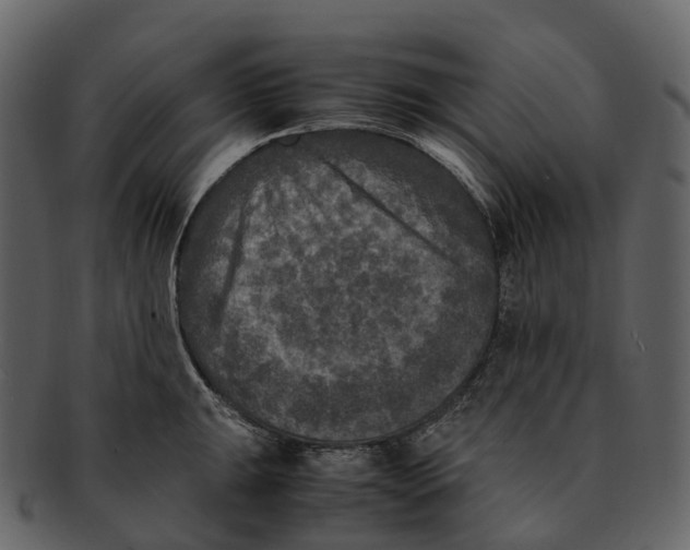 X0000092331047200710051311