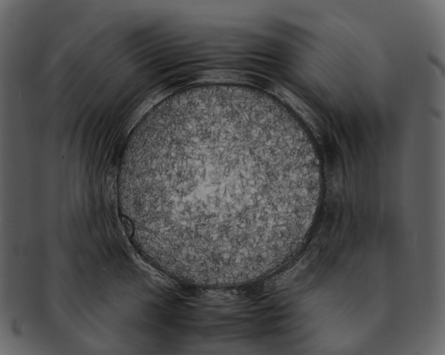 X0000092331049200710051311