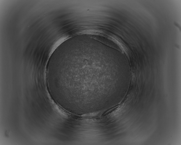 X0000092331050200710051311