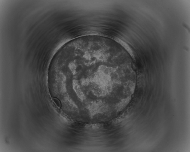 X0000092331051200710051311
