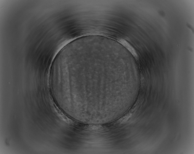 X0000092331052200710051311