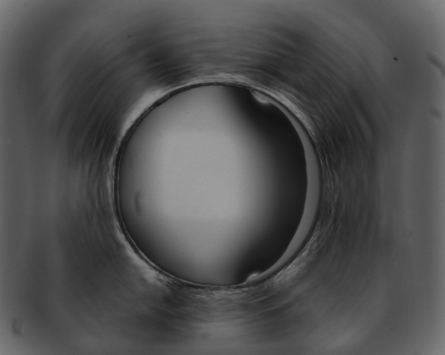 X0000092331054200710051311