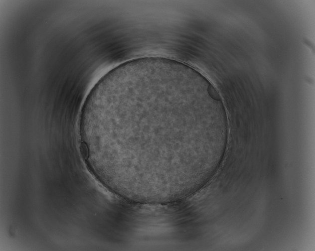 X0000092331056200710051311