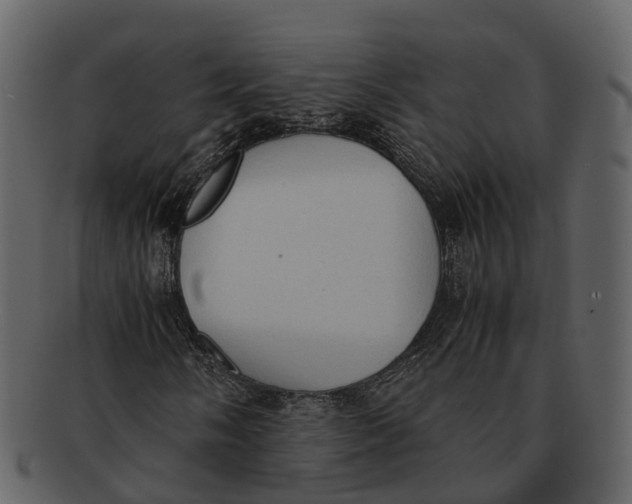 X0000092331058200710051311