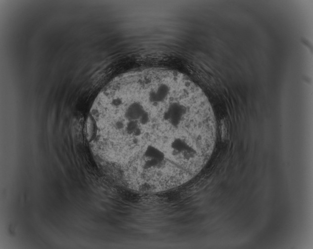 X0000092331059200710051311