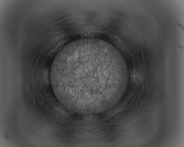 X0000092331060200710051311