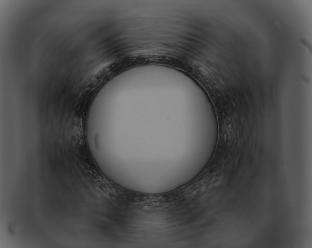 X0000092331062200710051311