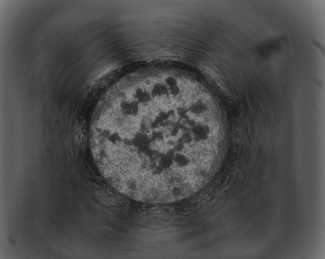 X0000092331063200710051311