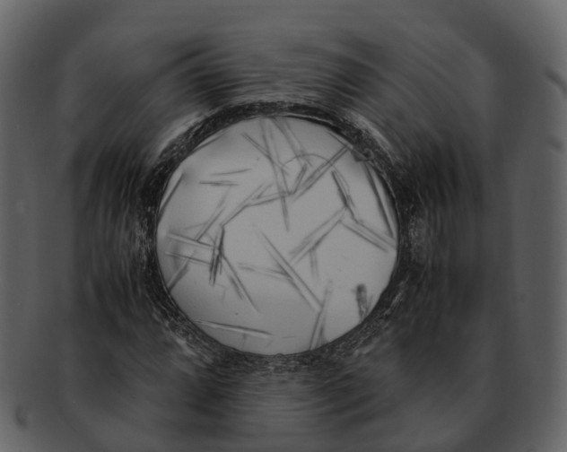 X0000092331064200710051311