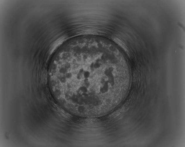 X0000092331067200710051310