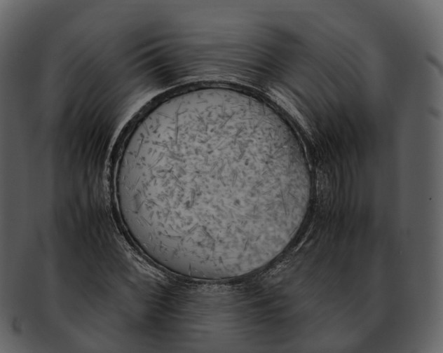 X0000092331068200710051310