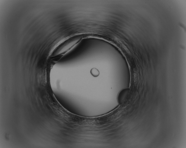 X0000092331069200710051310