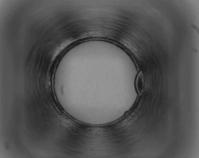 X0000092331070200710051310
