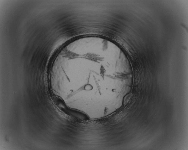 X0000092331072200710051310