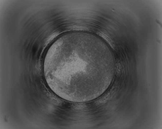 X0000092331074200710051310
