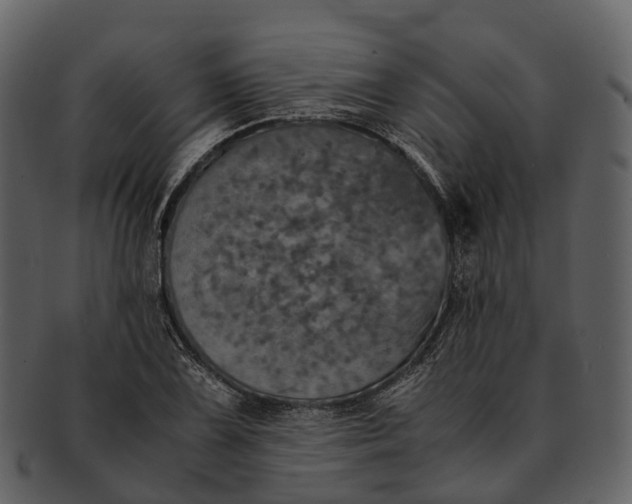 X0000092331075200710051310