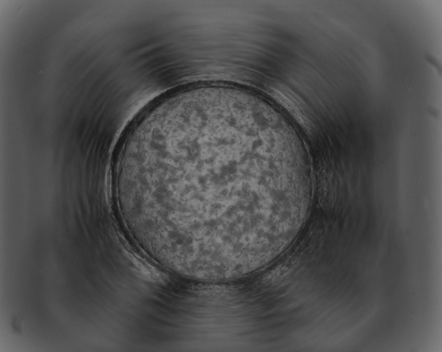 X0000092331076200710051310