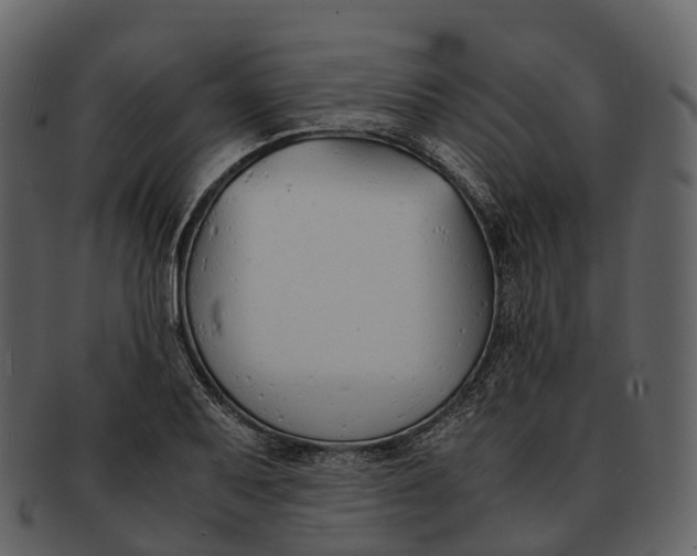 X0000092331079200710051310