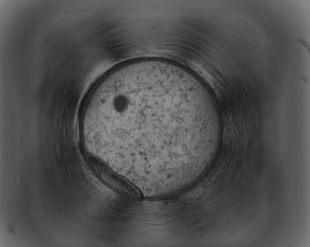 X0000092331080200710051310