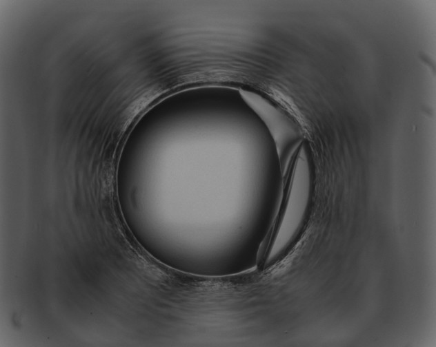 X0000092331081200710051310