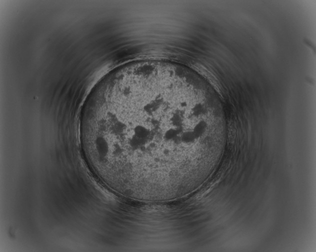 X0000092331083200710051310