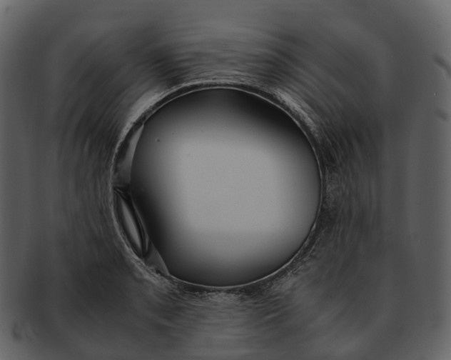 X0000092331085200710051310
