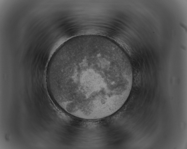 X0000092331086200710051310