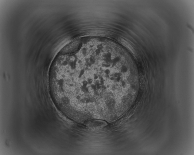 X0000092331087200710051310
