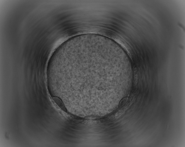 X0000092331088200710051310