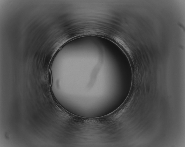 X0000092331089200710051310