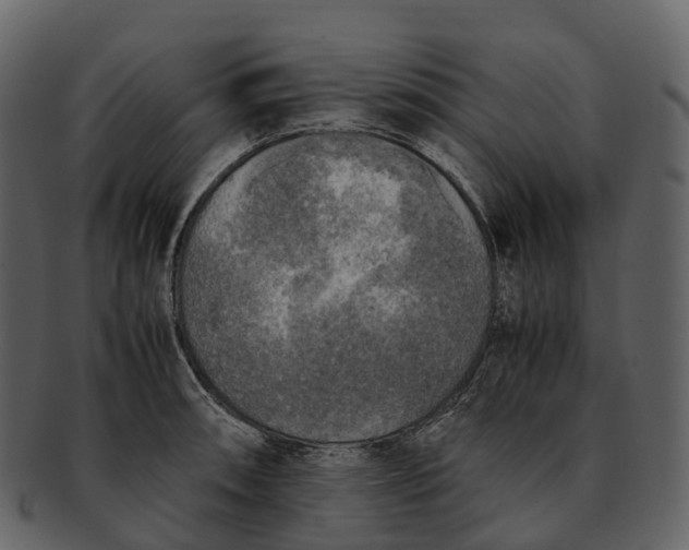 X0000092331090200710051310