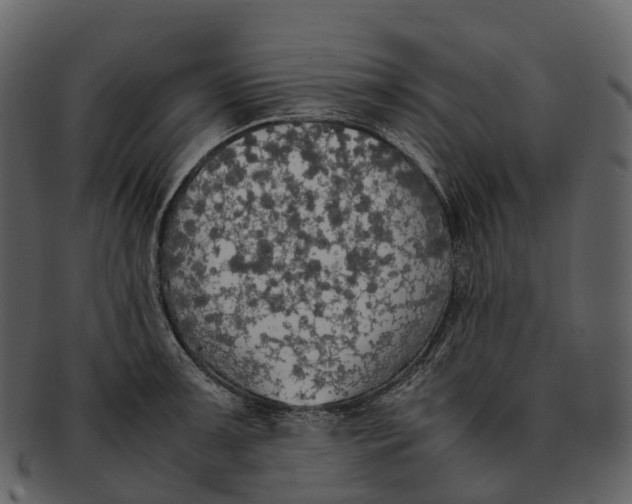 X0000092331091200710051310
