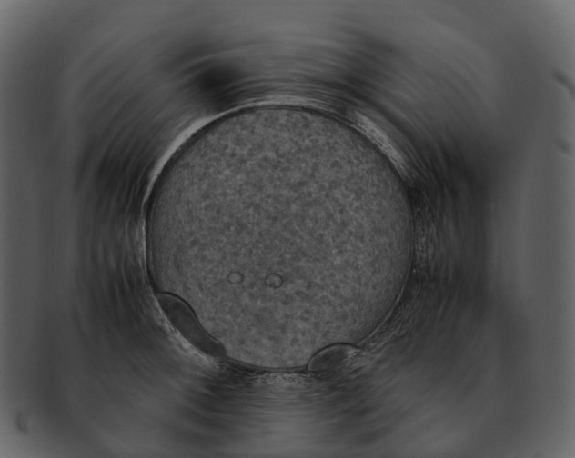 X0000092331092200710051310