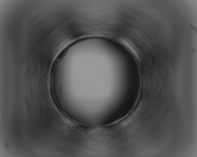 X0000092331093200710051310