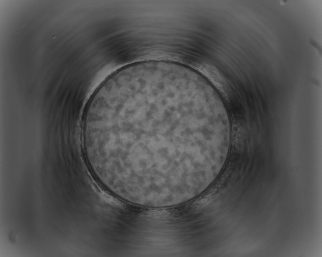 X0000092331094200710051310