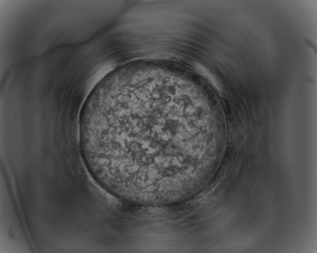 X0000092331095200710051310