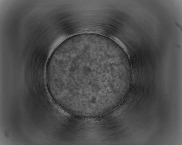 X0000092331096200710051310