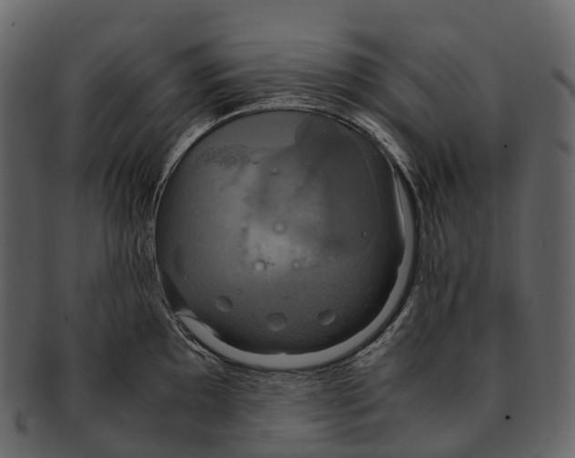 X0000092331097200710051310