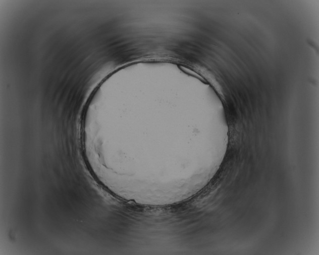 X0000092331099200710051310