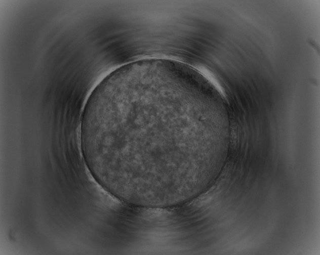 X0000092331100200710051310