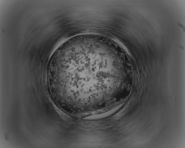 X0000092331101200710051310
