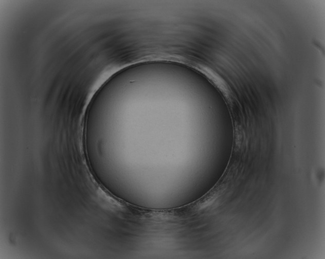 X0000092331102200710051310