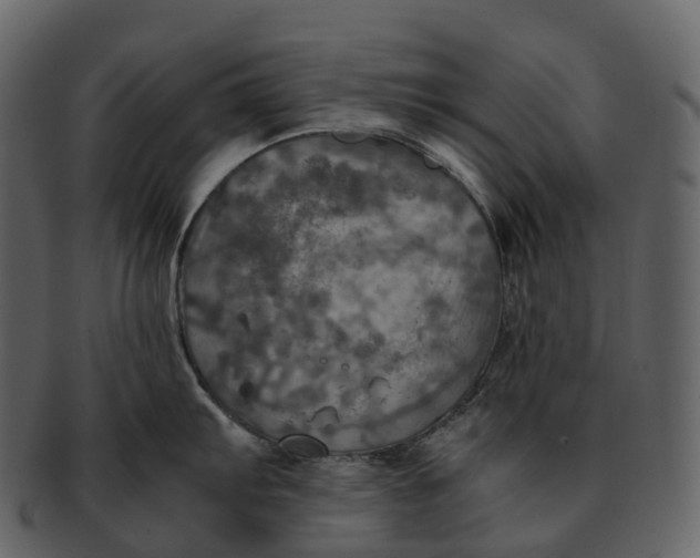 X0000092331103200710051310