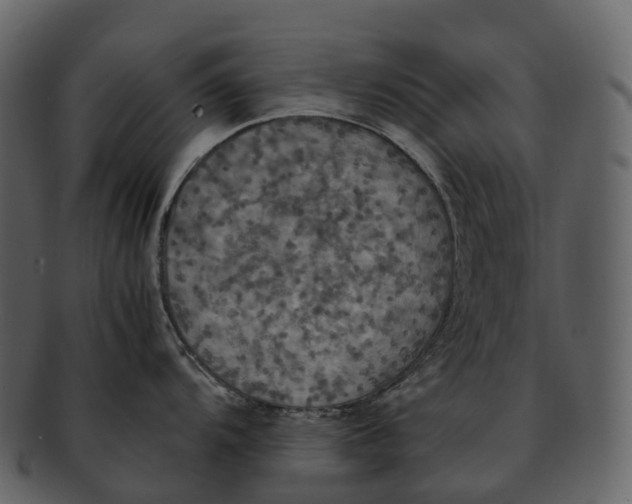 X0000092331104200710051310