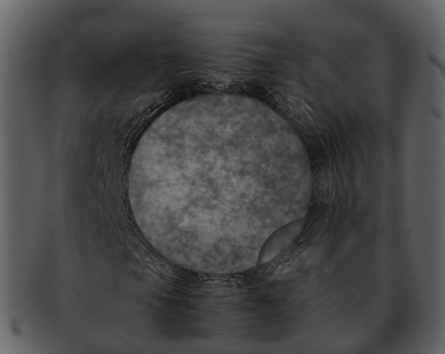 X0000092331105200710051309