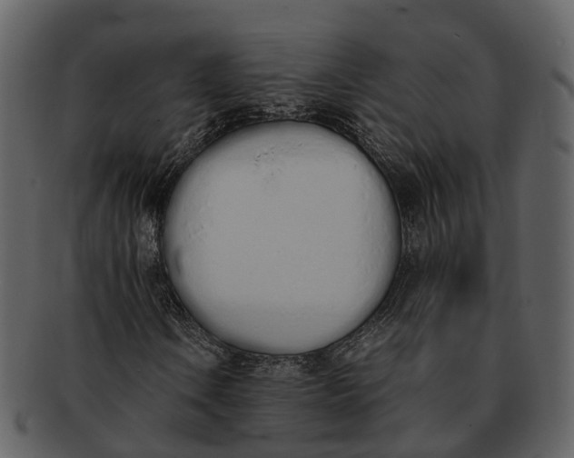 X0000092331106200710051310