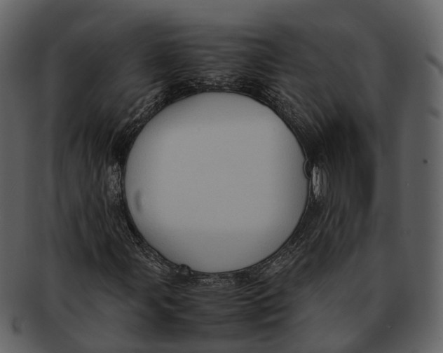 X0000092331107200710051310